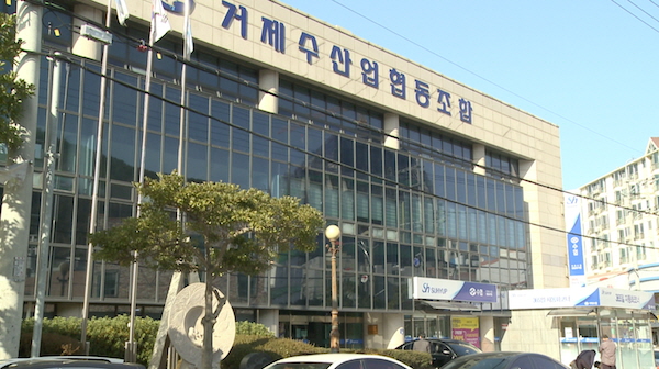 거제수산업협동조합 이미지